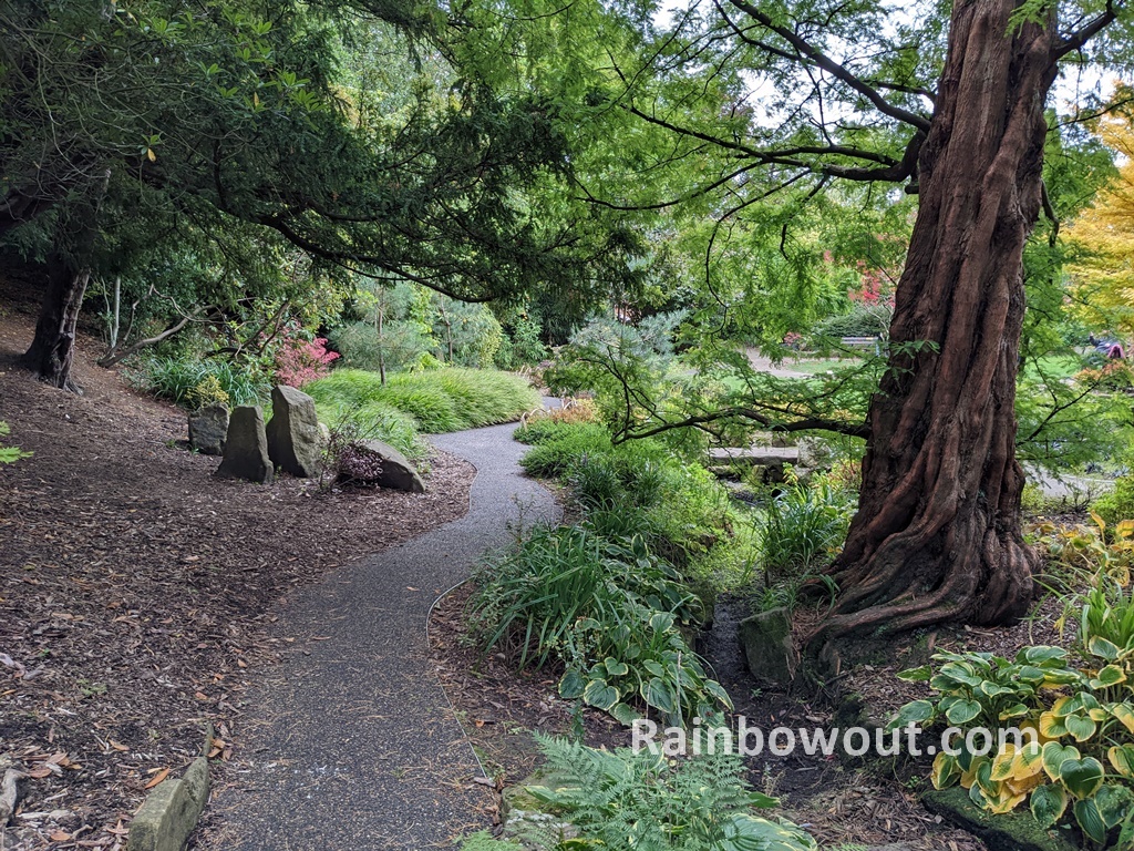 Valley gardens Japanese garden